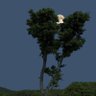 Profilbild von sn_hars