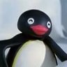 Profilbild von PINGU