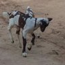 touaregs du désert du mali profil fotoğrafı