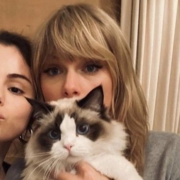 andrea's profile picture