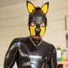 ⚡Pup Achillies⚡➡️FurDu'25 的头像