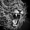 Profilbild von Farhad