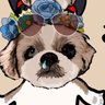 ラクダ's profile picture