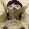 Shin Hati profil fotoğrafı