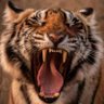 Profilbild von RedPilledMom