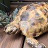 Фото профиля トリに夢中