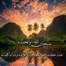 Talal M 的头像