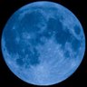 moonshot profil fotoğrafı