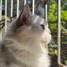 Profilbild von ADDICE