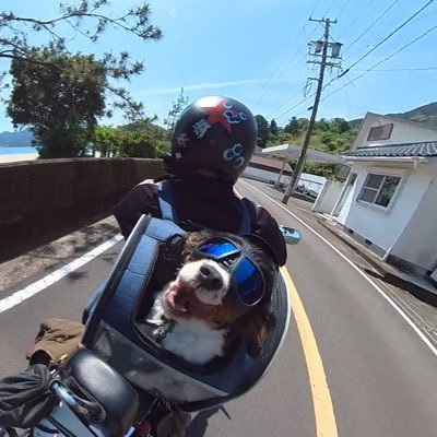 OhSunrider's profile picture