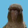 ならず者's profile picture