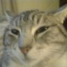 𝓖𝓪𝓽𝓲𝓬a ® profil fotoğrafı