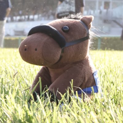 Lou's profile picture