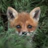 Правила Этикеток profil fotoğrafı