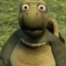 Caio Oliveira's profile picture