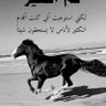 ر يــــ ــــم 🦋 profil fotoğrafı