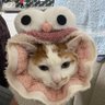 Büyük oranda Nagi's profile picture