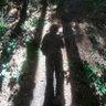 Profilbild von Matt White