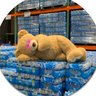 Charlie Sector profil fotoğrafı