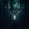 Artur Alex's profile picture