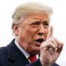 Donald trump 的头像