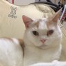 Profilbild von そら豆