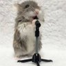 🐹のの🐹 profil fotoğrafı