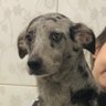 Anna's profile picture