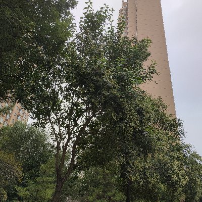 per5389's profile picture