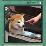 Ginny2546's profile picture