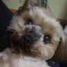 World Atlas's profile picture