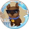 やっしーん profil fotoğrafı