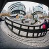 R.Xiao profil fotoğrafı