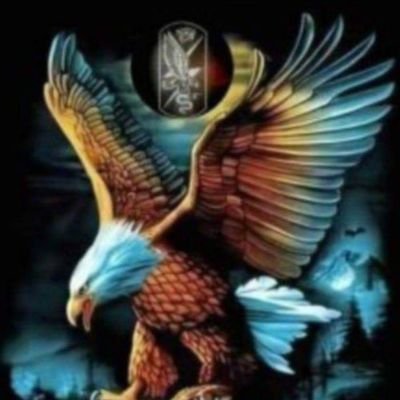 الصقور المصرية _ Egyptian falcons's profile picture