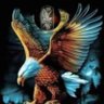 Фото профиля الصقور المصرية _ Egyptian falcons