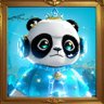 Trader xiaoming 的头像