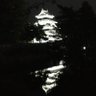 のぶ's profile picture
