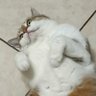 криза буття's profile picture