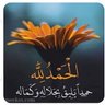 Фото профиля TAHERAHMED AHMED