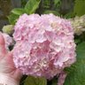 Фото профиля Ира шьет
