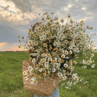 lifePic_'s profile picture