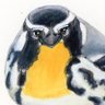 Profilbild von Greater Yellow-Throated Warbler.