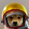 Profilbild von Jimmy y