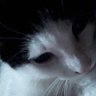 Mishy 的头像