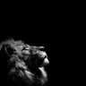SardarKhan1st🎭's profile picture