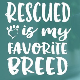rescuedoggypaws's profile picture