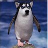 MdauwaX's profile picture