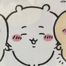 Profilbild von 激おこネコ