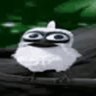 Profilbild von N0