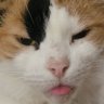 Profilbild von !@#$%
